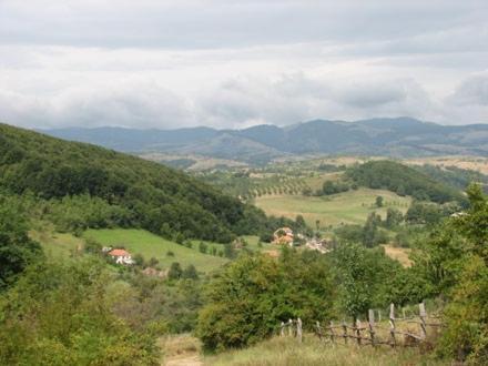 Casuta De La Munte Sfodea Exterior foto